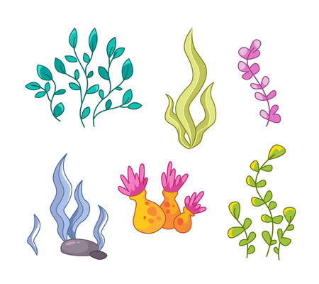 seaweed set. Seaweed vector illustration in cartoon childish style. Isolated funny clipart on white background. cute printのイラスト素材