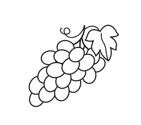 Cute grapes, black line. Vector illustration of a bunch of fruit grapes in a cartoon childish style. Isolated funny clipart on white background. cute printのイラスト素材