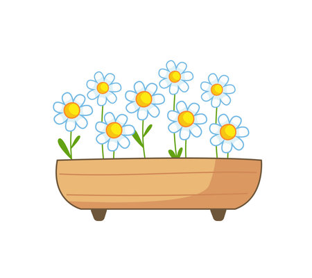 Wooden tub with daisies. Vector illustration in cartoon childish style with outline. Isolated funny clipart on white background. cute summer printのイラスト素材