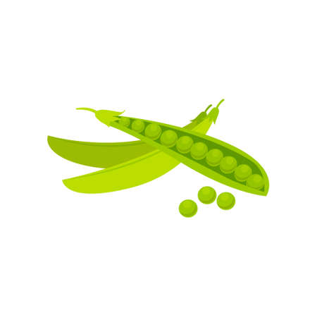 Mature bright green young peas. Sweet pea.のイラスト素材