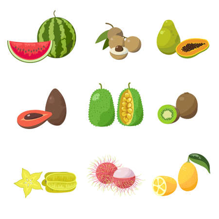 Tropical exotic fruits set. Various exotic fruits, coconuts, mangoes, bananas, avocados, kiwi, lychee.のイラスト素材