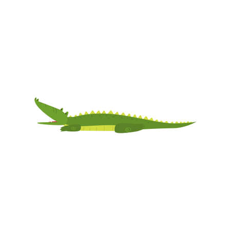 Young green cute cheerful crocodile spends his free time. Vector illustration isolated on white background.のイラスト素材
