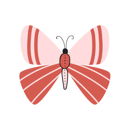 Beautiful, multi-colored butterfly with an unusual shape of the wings and patterns on them. Vector illustration isolated on white background.のイラスト素材