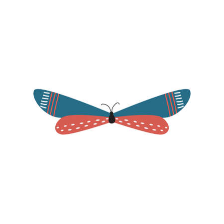 Beautiful, multi-colored butterfly with an unusual shape of the wings and patterns on them. Vector illustration isolated on white background.のイラスト素材
