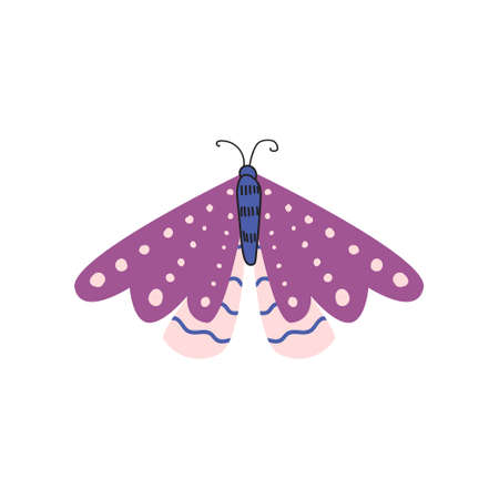 Beautiful, multi-colored butterfly with an unusual shape of the wings and patterns on them. Vector illustration isolated on white background.のイラスト素材