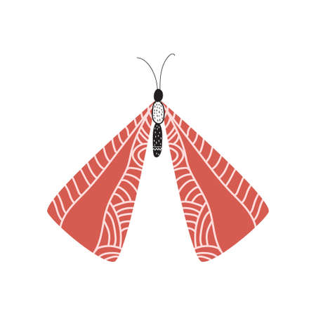 Beautiful, multi-colored butterfly with an unusual shape of the wings and patterns on them. Vector illustration isolated on white background.のイラスト素材