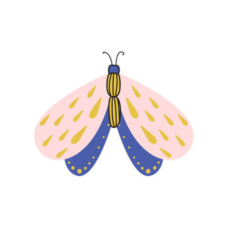 Beautiful, multi-colored butterfly with an unusual shape of the wings and patterns on them. Vector illustration isolated on white background.のイラスト素材