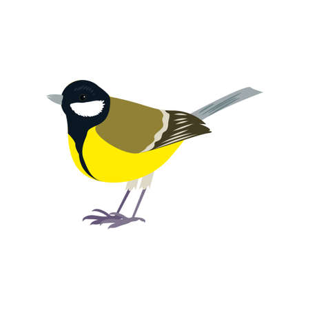 Beautiful multi-colored bird isolated on white background. Vector illustration isolated on white background.のイラスト素材