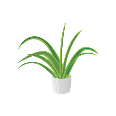 Homemade cute home plant in a beautiful colorful pot. Vector illustration isolated on white background.のイラスト素材
