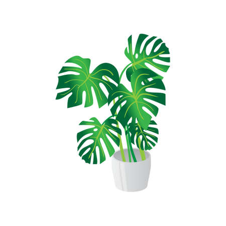 Homemade cute home plant in a beautiful colorful pot. Vector illustration isolated on white background.のイラスト素材