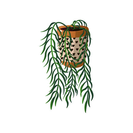 Homemade cute home plant in a beautiful colorful pot. Vector illustration isolated on white background.のイラスト素材