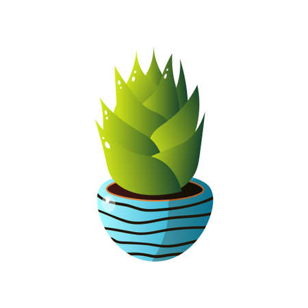 Homemade cute home plant in a beautiful colorful pot. Vector illustration isolated on white background.のイラスト素材