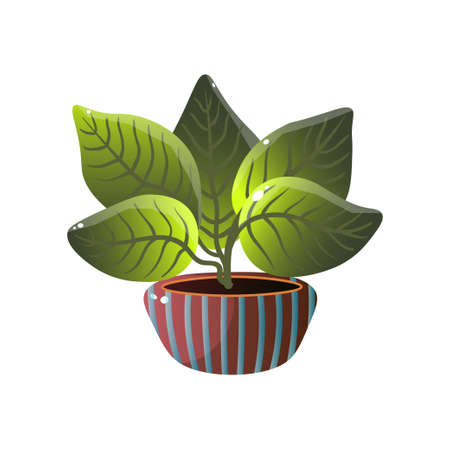 Homemade cute home plant in a beautiful colorful pot. Vector illustration isolated on white background.のイラスト素材