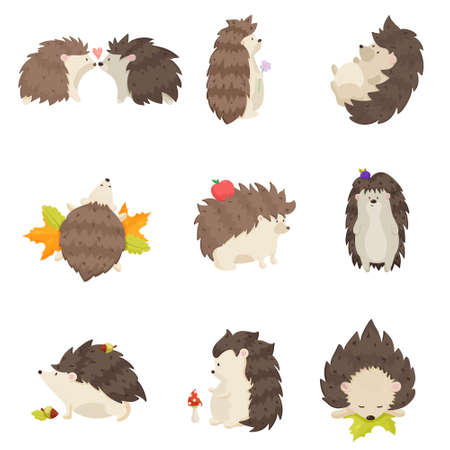 Set of cute hedgehogs in different poses and various emotions on a white backgroundのイラスト素材