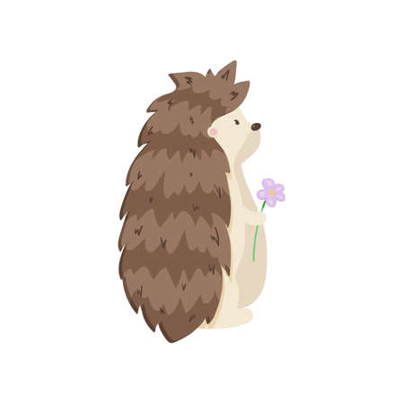 Glorious hedgehog stands and looks into the distance, holding beautiful flower. Side view of animal on white background. Male gives flowers to female. Concept of love, romance, Valentine s dayのイラスト素材