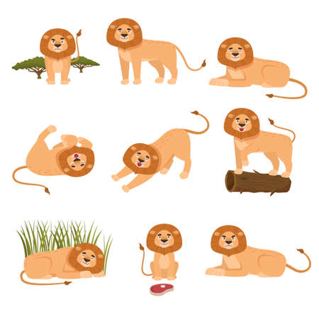 Set of lion in different actions isolated on white backgroundのイラスト素材
