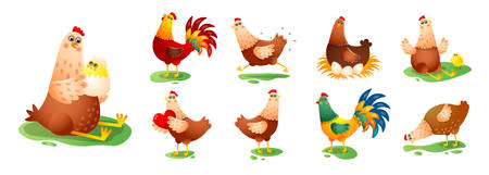 Chicken hen cock in different poses set isolated on white backgroundのイラスト素材