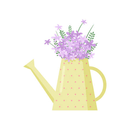 Beautiful purple field flowers bouquet in cute yellow dotted watering pot on white. Nice creative floral composition. Card icon template for birthday mothers day anniversary gift, greeting, invitationのイラスト素材