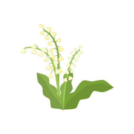 White lilies of valley growing in flowerbed garden on empty background. Beautiful floral composition. Cartoon buds, leaves, stems. Greeting card gift icon template spring summer stickerのイラスト素材
