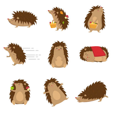 Cute hedgehogs in different poses set isolated on white backgroundのイラスト素材