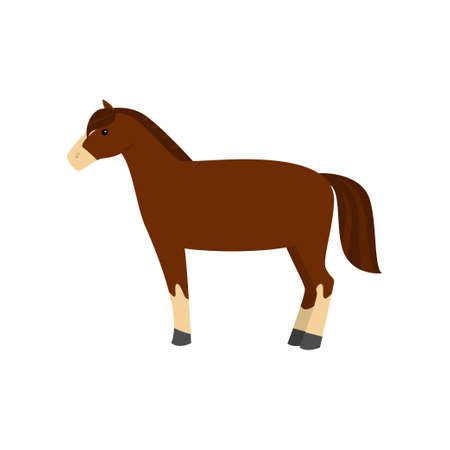 Cute beautiful cartoon horse. Graceful horse of an unusual coloring.のイラスト素材