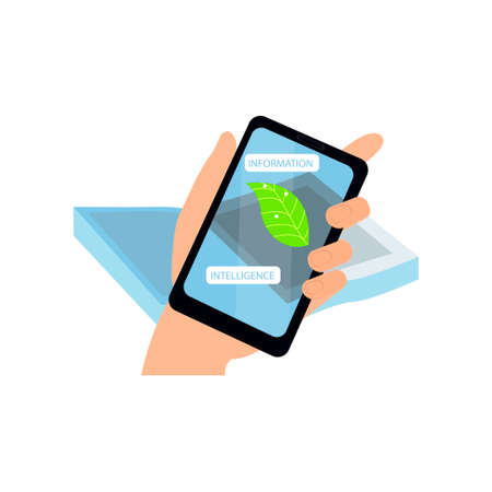 Smartphone augmented reality show info biology of tree green leaf . Flat style. Vector illustration on white backgroundのイラスト素材