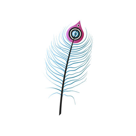 Writing colorful bird feather, soft touch, violet capのイラスト素材