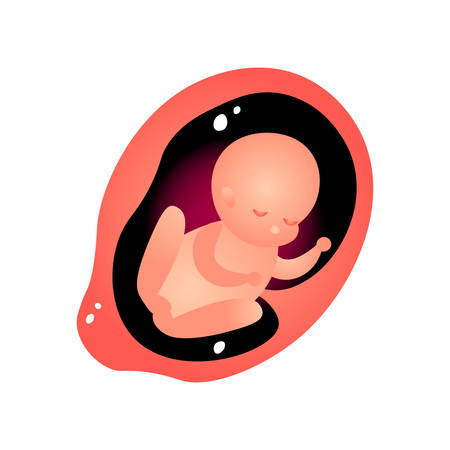 Baby in mother tummy eat, woman pregnancy periodのイラスト素材