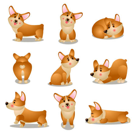 Set of corgi dog character in different daily situationsのイラスト素材