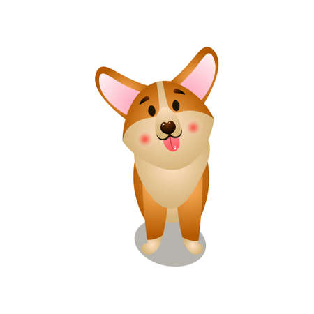 Cute funny corgi dog looking in owner eyesのイラスト素材