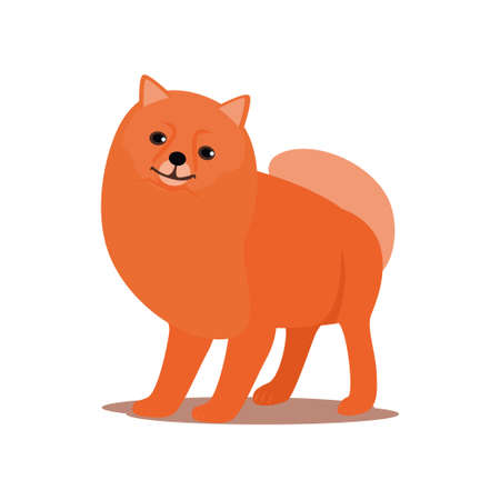 Funny red spitz dog is ready for outdoor walkingのイラスト素材