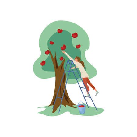 Cute girl on staircase collect red apples from treeのイラスト素材