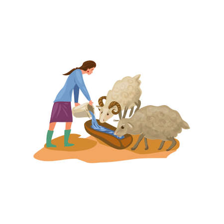 Farmer woman in rubber boots give water for sheepsのイラスト素材