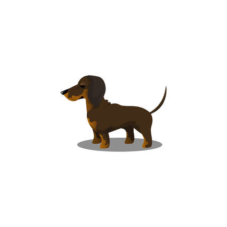 Dachshund dog, Raster illustration in flat cartoon styleのイラスト素材