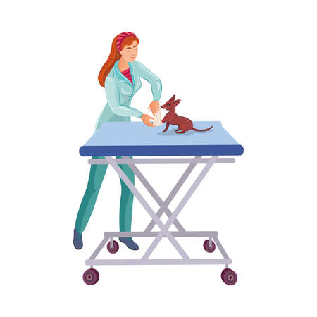 Red-haired veterinary doctor bandaging a paw to a cute small dog on the table in the vet clinic. Isolated vector illustration on white background in cartoon styleのイラスト素材