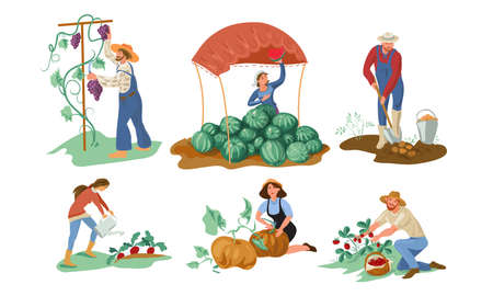 Set of different farmer people collecting natural eco food from the garden. Isolated icons set illustration on a white background in cartoon style.のイラスト素材