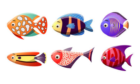 Collection set of sea tropical fishes. Multicolor set of six different types of coral reef fishes. Colorful vector flat isolated icons set. The clip art style on white background.のイラスト素材