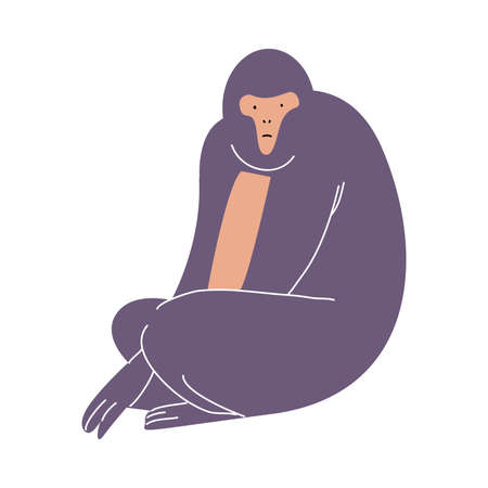 Cute big strong purple monkey sitting vector illustrationのイラスト素材