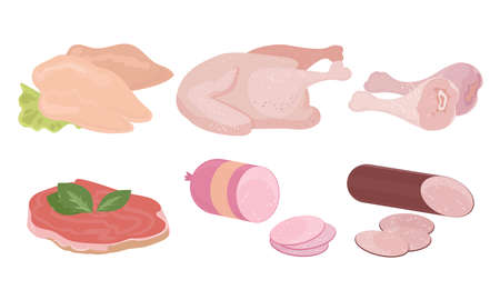 Set of isolated hand drawn different kinds of ham, sausages and chicken meat over white background vector illustration. Gourmet meat products illustrations conceptのイラスト素材