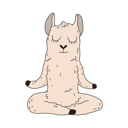 Grey wolf sitting and meditating in lotus pose with eyes closedのイラスト素材