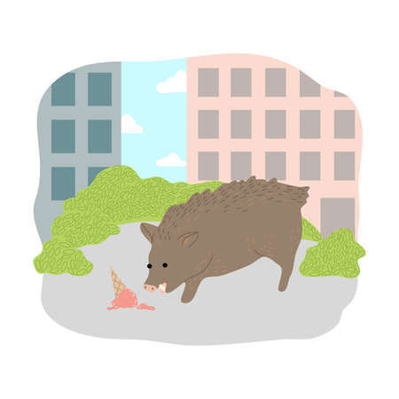 Grey pig eating ice cream from ground in cityのイラスト素材