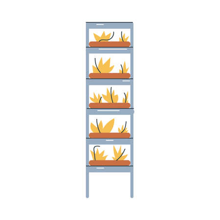 Growing yellow plants in pots on vertical shelvesのイラスト素材
