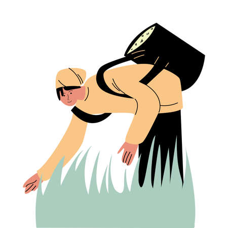 Ssian woman with special basket picking rice on plantationsのイラスト素材