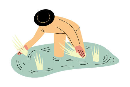 Asian man farmer in special costume and hat standing in water and picking riceのイラスト素材