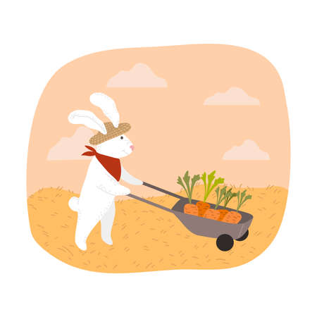 White rabbit farmer carrying picked carrots in wheelbarrow during harvestingのイラスト素材