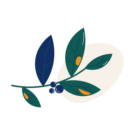 Traditional symbol of autumn green branch with blue forest berries vector illustrationのイラスト素材