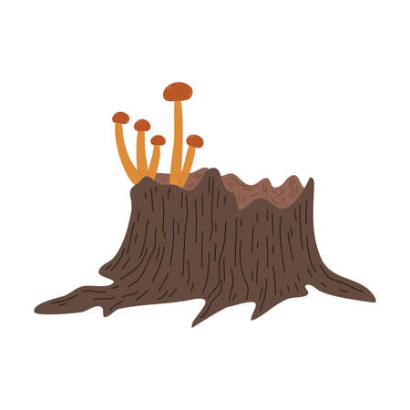 Brown honey mushrooms growing on wooden stump in autumn seasonのイラスト素材