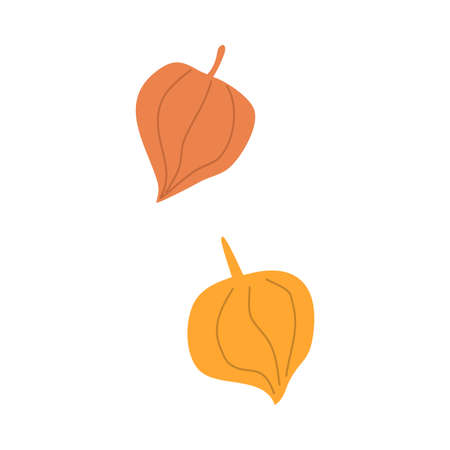 Silhouette of colorful golden autumn seasonal leavesのイラスト素材