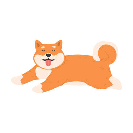 Funny red cheerful japanese akita dog lying on floorのイラスト素材
