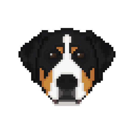 Swiss Mountain dog head in pixel art style. Dog vector illustration.のイラスト素材